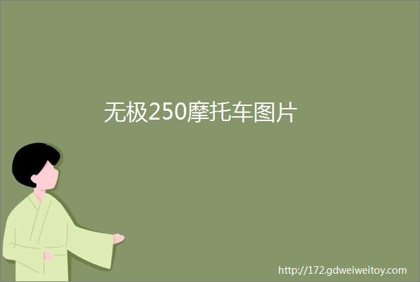 无极250摩托车图片